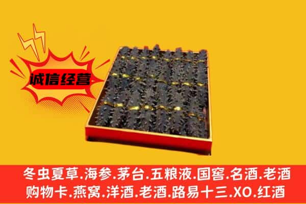 红河州建水回收海参